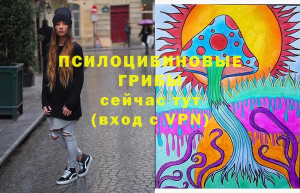 spice Дмитровск