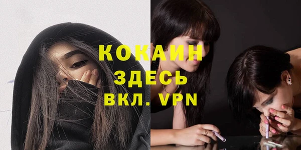 кокс Дмитриев