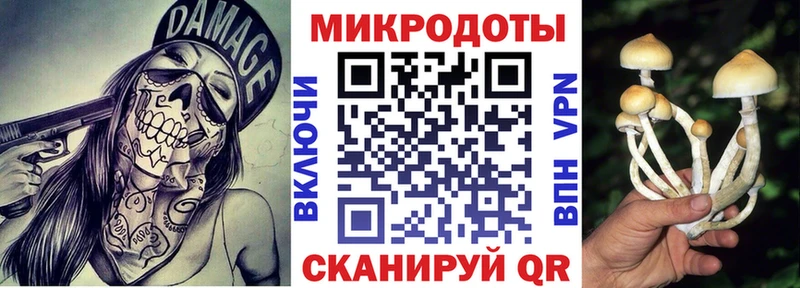 Псилоцибиновые грибы Cubensis  Пикалёво 